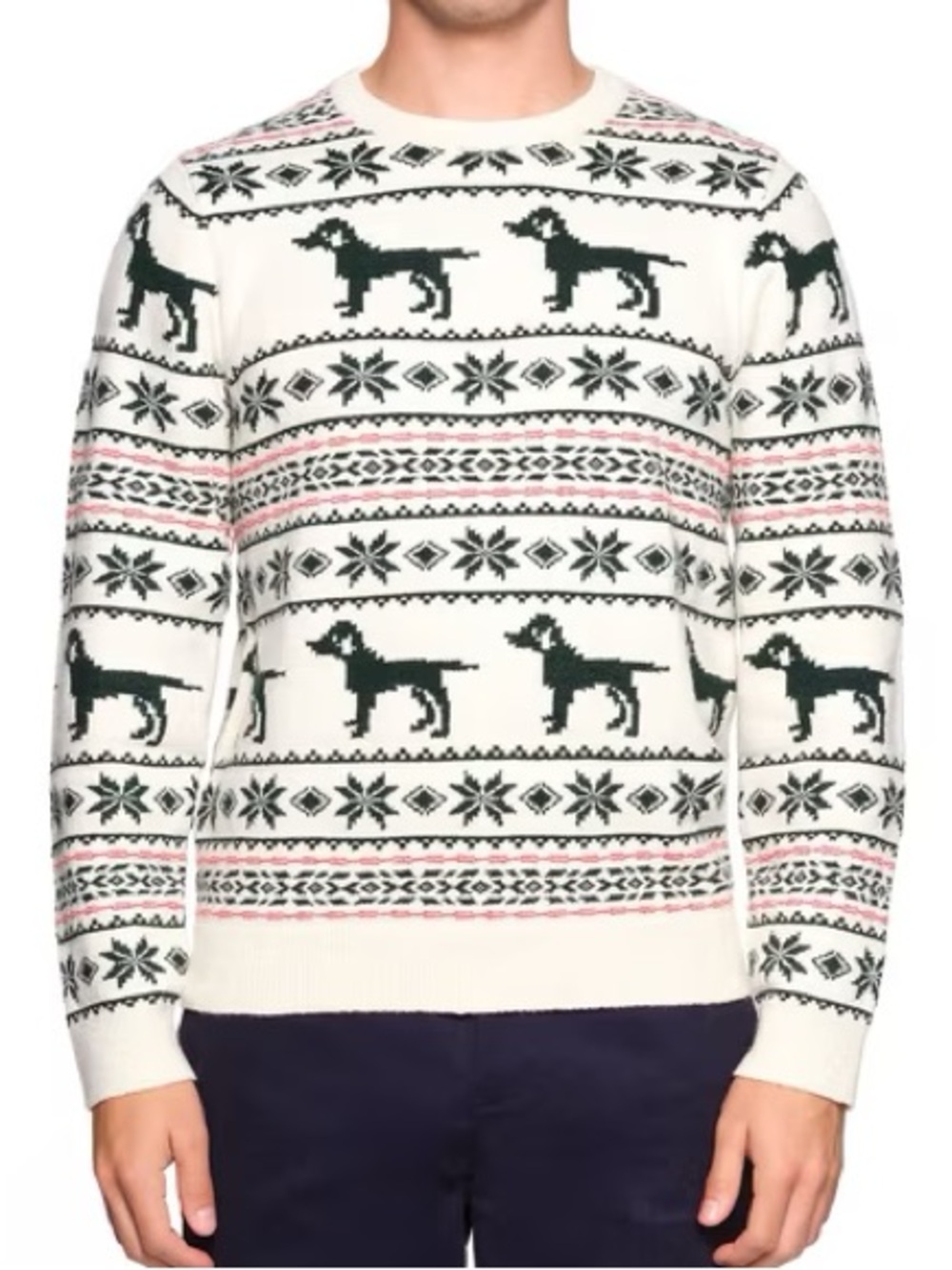 Lands End Men Size XL Holiday Dog Fair Isle Knit Crew Neck Pullover Sweater NWT